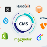 Какую CMS выбрать для создания своего первого сайта